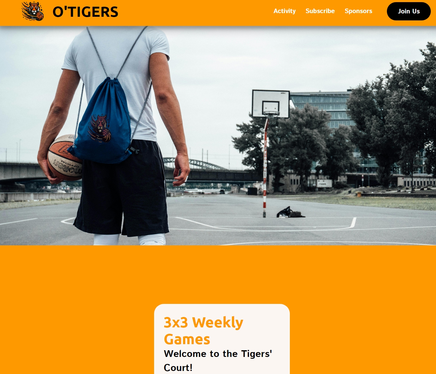 Portfolio Example 1